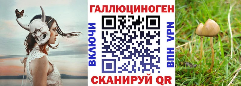 Псилоцибиновые грибы GOLDEN TEACHER  Алзамай 